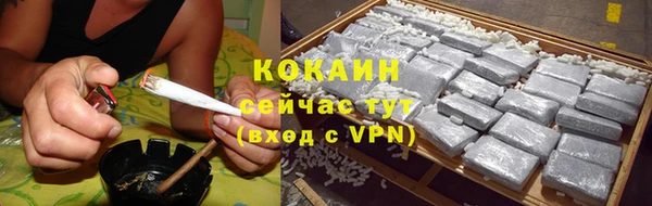 МДПВ Бородино