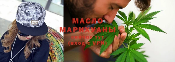 МДПВ Бородино