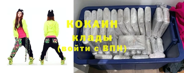 МДПВ Бородино
