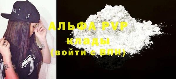 МДПВ Бородино