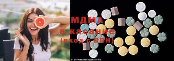 МДПВ Бородино
