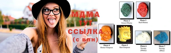 МДПВ Бородино