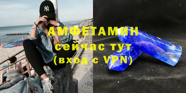 МДПВ Бородино