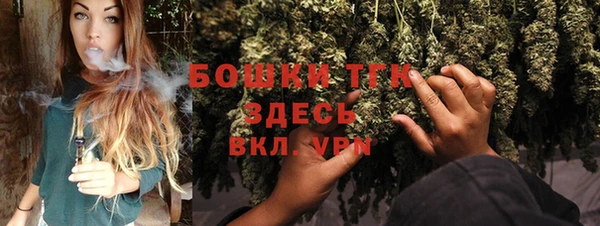 МДПВ Бородино