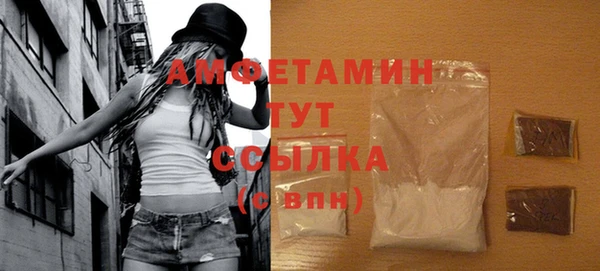 МДПВ Бородино