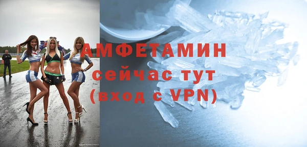 МДПВ Бородино