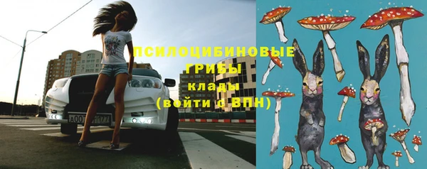 МДПВ Бородино