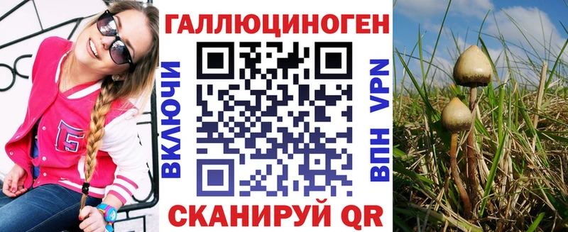 Купить где  Геленджик  Псилоцибиновые грибы Cubensis 
